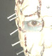maske